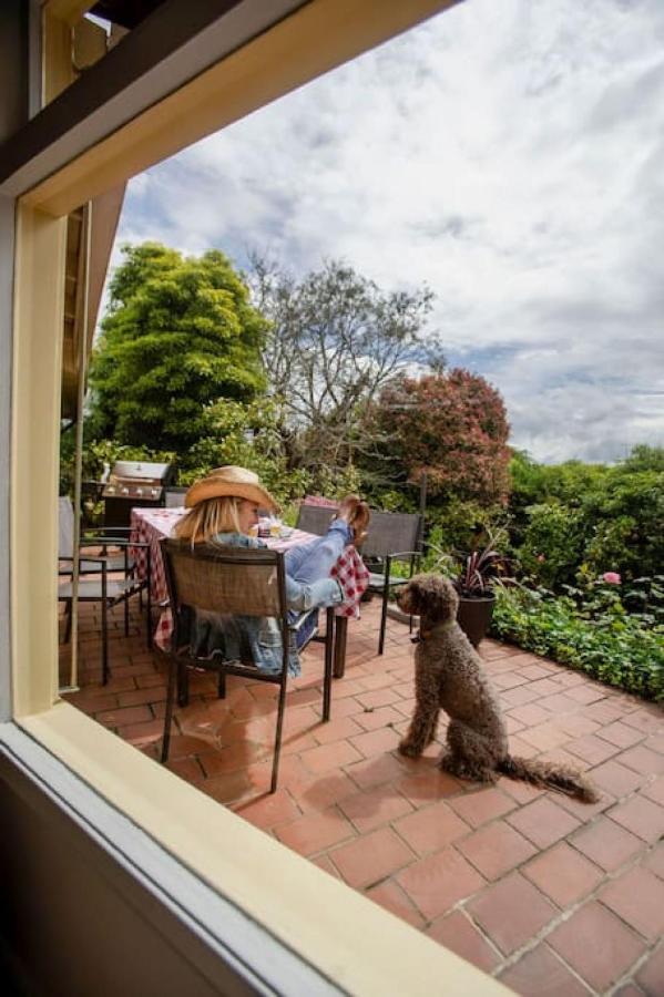 Very Cool Mid Century, Pet Friendly Urban Oasis Villa Geelong Exterior photo