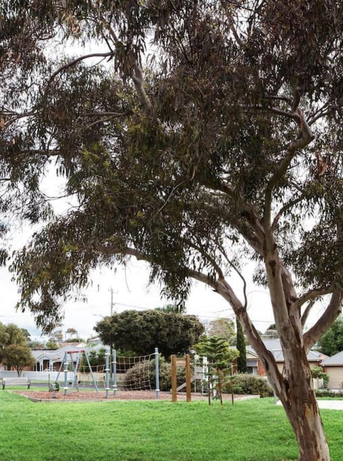 Very Cool Mid Century, Pet Friendly Urban Oasis Villa Geelong Exterior photo